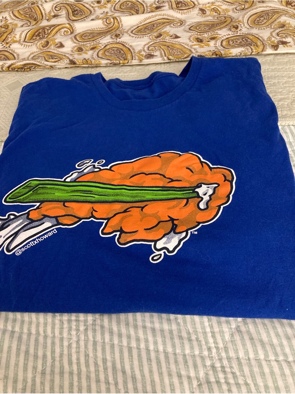 GO BILLS! Buffalo Bills “Chicken Wing” Graphic Tee Design by Artist Scott Howard